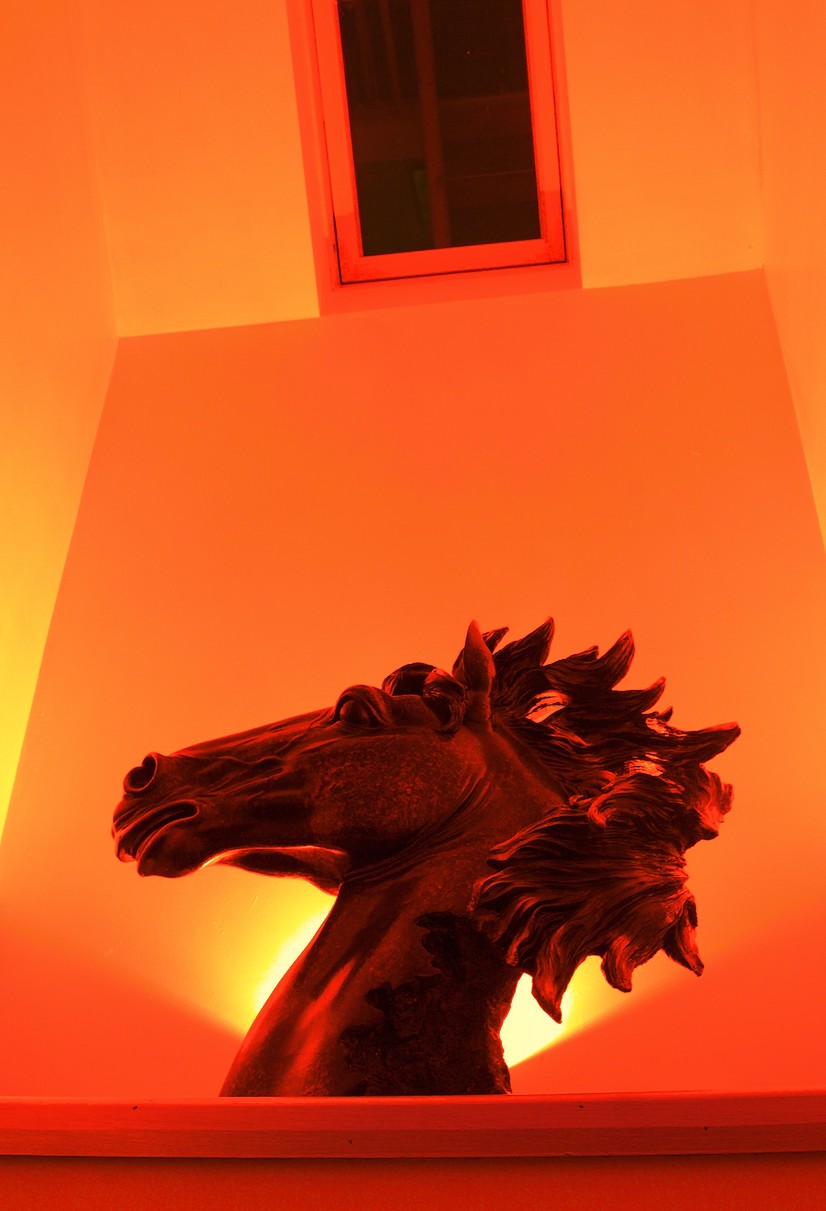 Horses head sculpture illuminated red